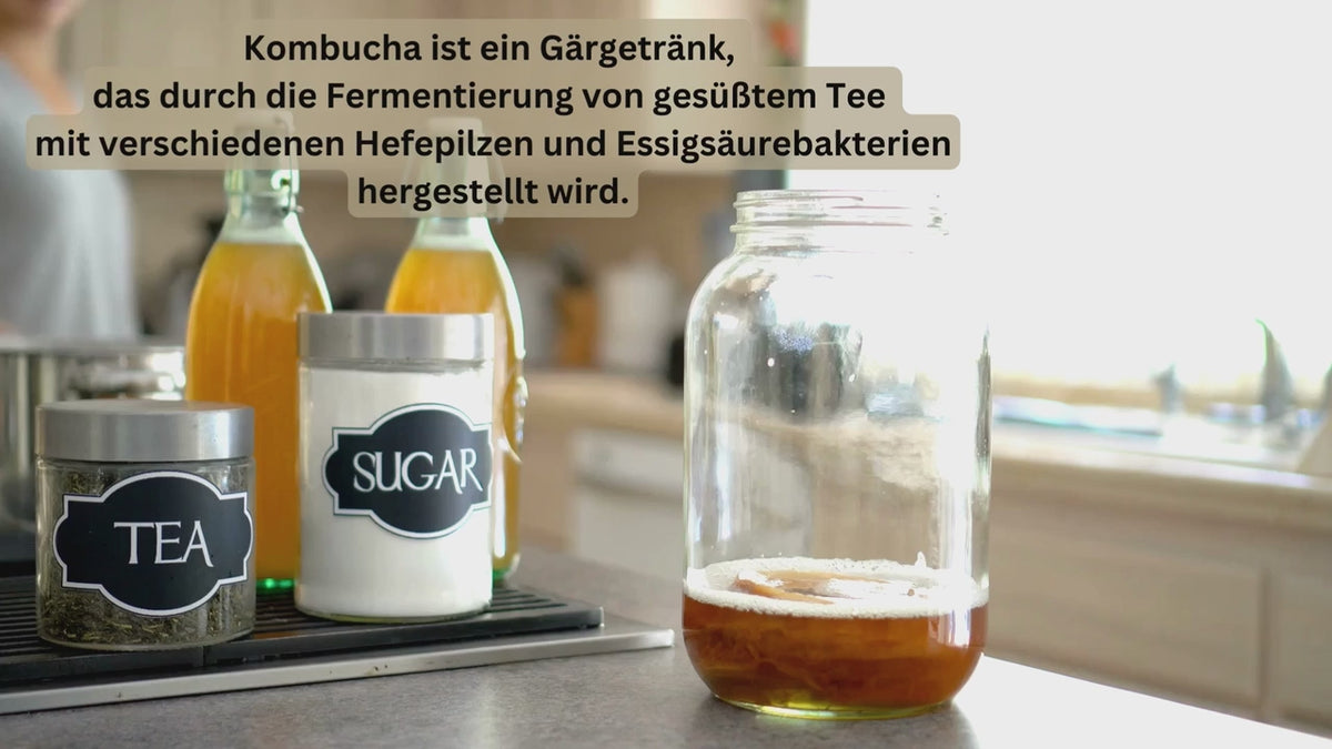 Kombucha + Vitamin E Kapseln (180 Kps.)
